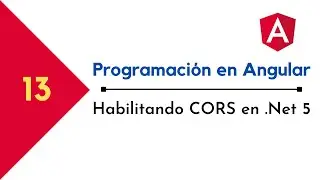 Habilitando CORS en .Net 5