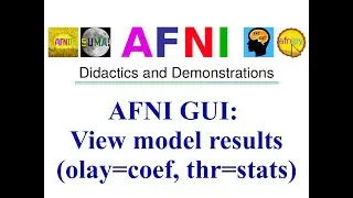 [AFNI Academy] AFNI GUI: View model results (olay=coef, thr=stats)