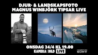DJUR & LANDSKAPSFOTO: Magnus Winbjörk tipsar – Ställ dina frågor live – Kamera & Bild LIVE 24/4 2024