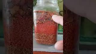 Кругляшки Гранулы и тоже гранулы 😁😜👍