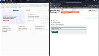 CSRF where token is duplicated in cookie (Audio, Comments)
