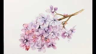 Watercolor Lilac Flowers Painting Demonstration