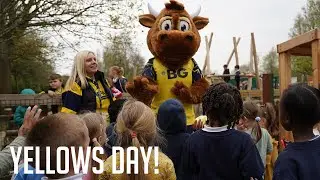 Yellows Day for Helen and Douglas House