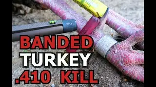BANDED TURKEY |  .410 Kill  |  TriStar