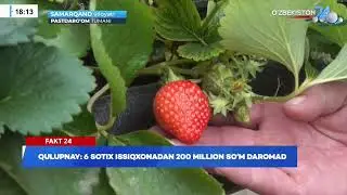 6 sotixdan 200,000,000 DAROMAD