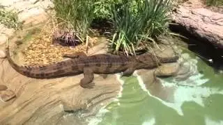 The zoo :P