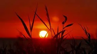 Meditation: Safety Space Binaural Beats Rafa