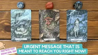 Urgent Message That is Meant to Reach You Right Now! | Timeless Reading