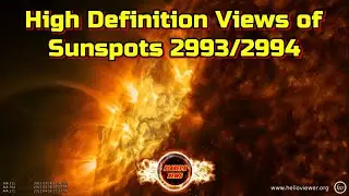 Planet X News - High Definition Views of Sunspots 2993 and 2994