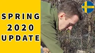 Garden Update 2020
