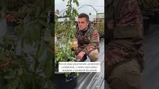 27 ноября 2023 г.