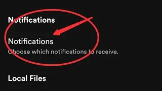 How to check notifications in Spotify  Spotify me notifications kaise check kare