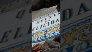 PALÁCIO DA DISNEY ABANDONADO! QUINTA DA FELICIDADE #urbex #casasabandonadas #shorts
