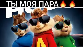 Ты моя пара 2019🔥Бурундуки ырдайт🔥😎