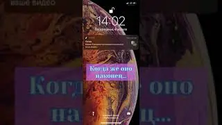 Когда выложил  новое видео  в TikTok