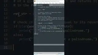Palindrome Detector: Python's String Symmetry Test |  