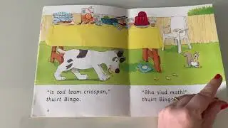Bingo agus an Slaman-milis