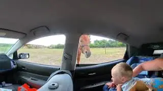 Richter Safari park