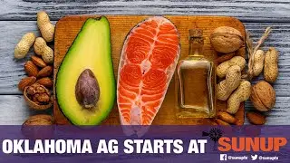 Food Whys - Omega 3 Fatty Acids (1/23/21)