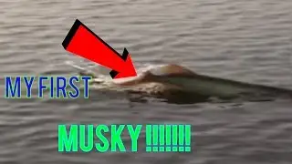 MY FIRST MUSKY !!!!