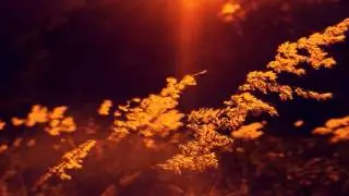 Mojo - Garden Walls (feat. Farisha)