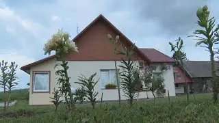 Izvērtē sakoptākās un skaistākās Rēzeknes novada sētas