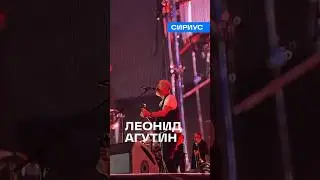 Леонид Агутин на VK Fest–2023 в Сириусе