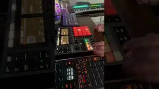 Lofi hiphop - Maschine plus with the TD3 on bass and SP404 with FX 
