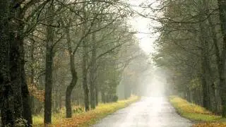 Я нуждаюсь в Тебе мой Спаситель