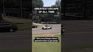 A perfect escape #funny