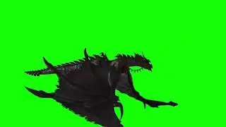 Flying Dragon Green Screen
