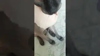 Соня в ковточке💕