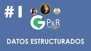 Datos Estructurados - Google P&R #1