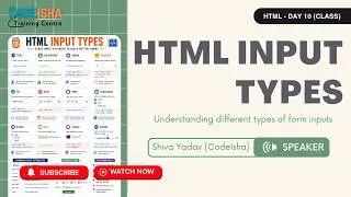 HTML Input Type Attribute Explained | Complete Beginner Guide