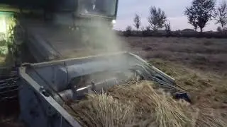21-октябрь 2024-йил шоли сезон