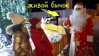 Самая позитивная ёлка и живой бычок 🐂 (г. Орша)