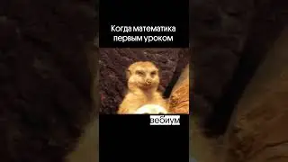 😪🥱 😴 