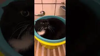 Бароша в гостях 🥰