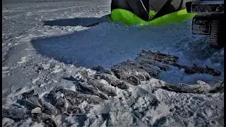 Щука  сошла с ума, сработка за сработкой, Рыбалка в Казахстане бешеный жор щуки