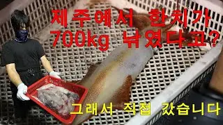 Late August! Jeju shad finally burst after a long time! [Jeju Seungryongiho]