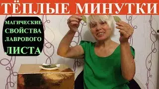 Магические свойства лаврового листа (Часть 1). Лавровый лист - исполнение желаний и здоровье