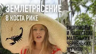 Землетрясение в Коста Рике и нашествие маленьких черненьких жучков