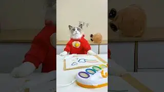 🐱🖌️ Puff’s magical painting adventure! See colors come alive. 🌈 