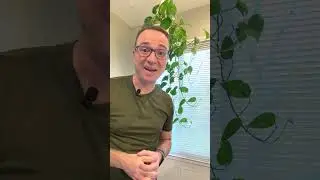 Yellowing leaves with pothos 