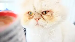 Bir Sabah Rutini