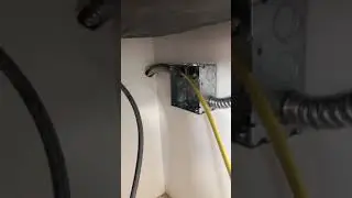 The home run wire coming in from the panel