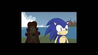 soink.mp4
