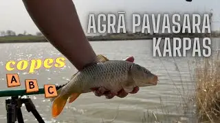 COPES ABC: Ķā veiksmīgi ķert karpas pavasarī?