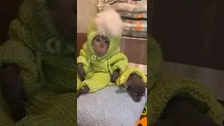 Новый комплект для Жоры 