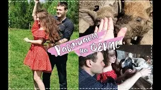 ПЕРЕЕХАЛИ С ПАРНЕМ В ДЕРЕВНЮ || РАБОТА НА ФЕРМЕ || Укусила свинья